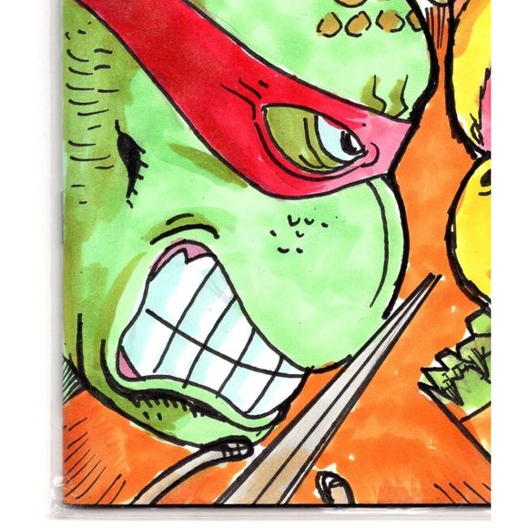 ONE-OF-A-KIND HAND-DRAWN, INKED AND COLORED SKETCHCOVER COMIC by Dan Nokes TURTL - Picture 6 of 7